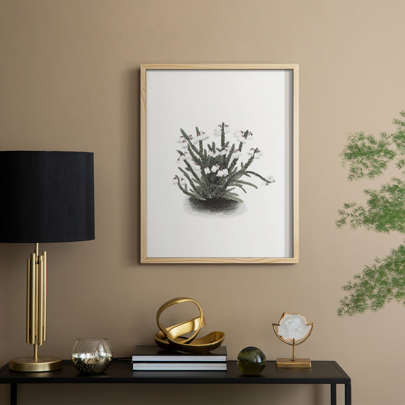 Impression florale vintage encadrée CLxxi - bois massif, Naturel, H 21 po x l 17 po