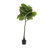 74'' Faux Fiddle Leaf Tree in Planter