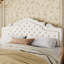 Tête de lit plateforme capitonnée en velours Antonious avec hauteur réglable sur 3 niveaux, sans sommier, rangement sous le lit, très grand lit, blanc-1321042706-1296726354