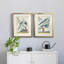 Pastel Birds V " Birds V " 2 - Pieces Painting Print