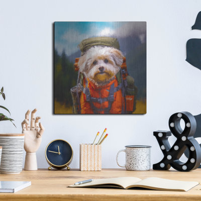 Latitude Run® 'Hiker' by Sean Parnell Metal Wall Art,