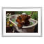 Highland in Candle Lit Bubble Bath, reproduction encadrée sous verre, design par Momart-1128906023-1128906021