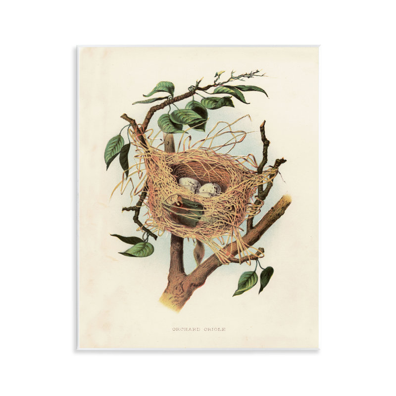  «Eggs in Birdesth Study», art mural par Tina Higgins Designs, Inc.
