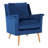 Velveteen Velvet Armchair-100028756