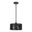Luminaire suspendu noir 1 lumière Asllan