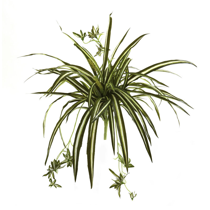 23'' Flowering Plant