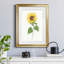 Tournesol II - imprimé-440758249-440758245