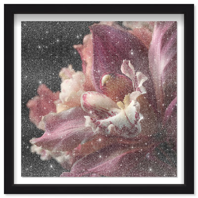 Velvet Labellum Shadowbox Floral & Botanical Print by Oliver Gal, Black Frame, 12 x 12