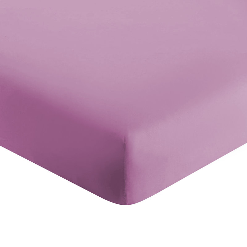 Lieselotte Extra Deep 200 Thread Count 100% Microfiber Brushed Fitted Sheet, Single (3'), Purple