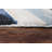 Risley Wool Abstract Indoor Rug-33385016