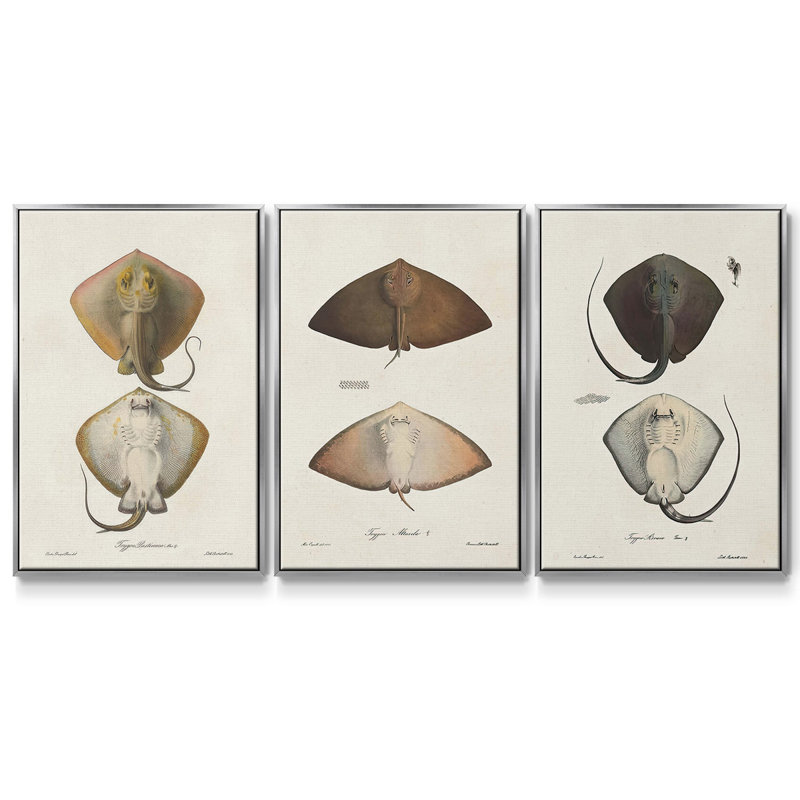 Ensemble de 3 toiles tendues avec châssis de qualité supérieure Antique Botanical Collection, Argent, H 27 po x l 54 po