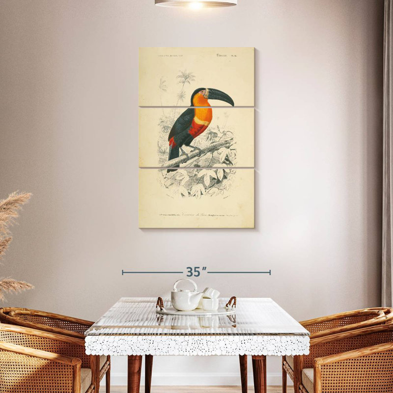 Brampt Toucan Du Para, 45" H x 28" W