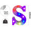 Rensselear 22 cm H LED Sign