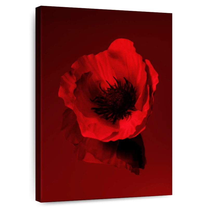 Dark Red Poppy, 12" H x 8" W