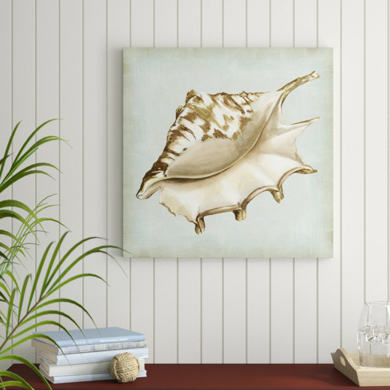 Sea Dream Shells IV by Vision Studio - Wrapped Canvas Painting, 76cm H x 76cm W