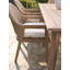 Arm Dining Chair
