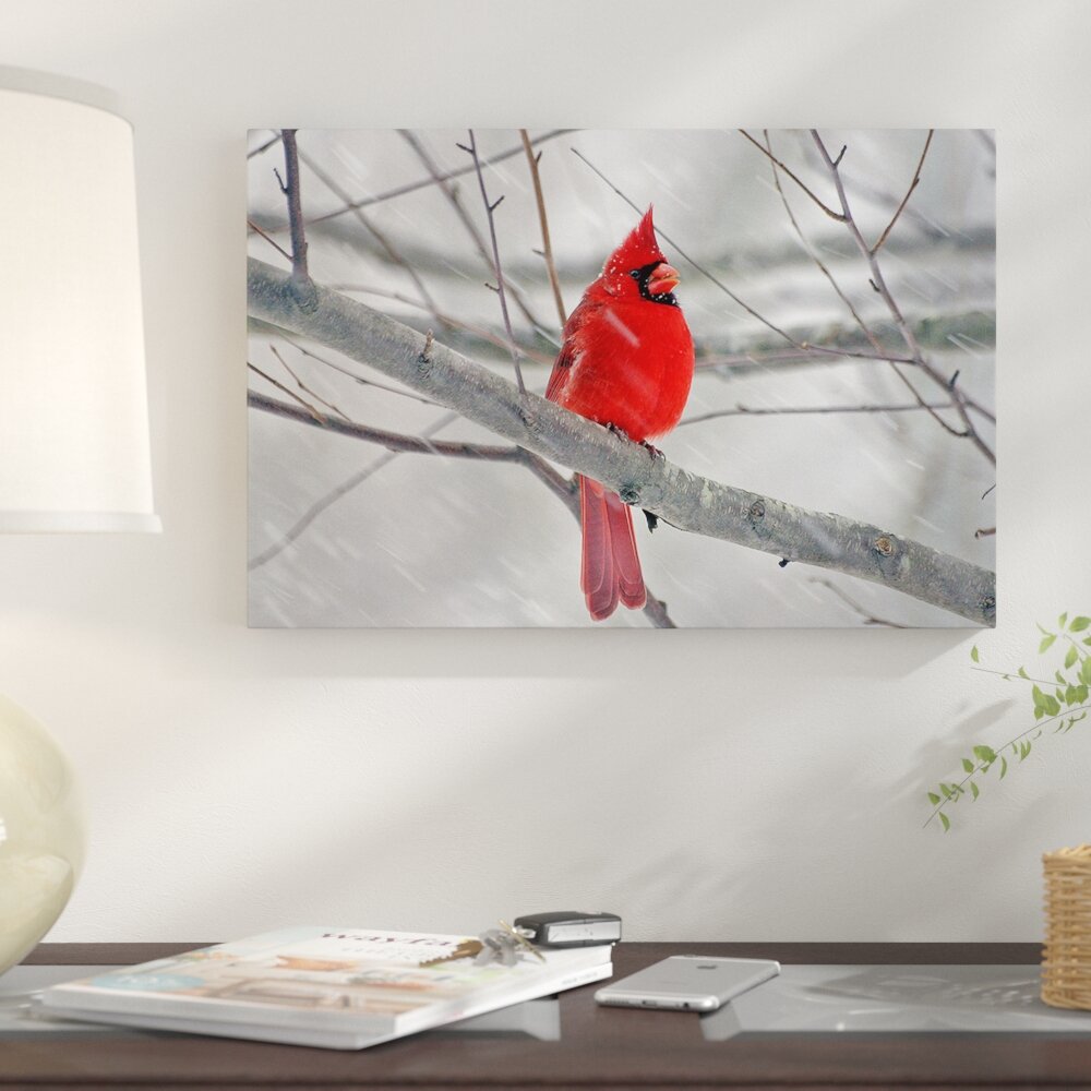 Cardinals Silhouettes coffee painting Canvas Print