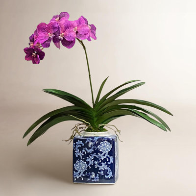 Arrangement in Vase