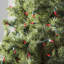 606'' String Lights-31889547