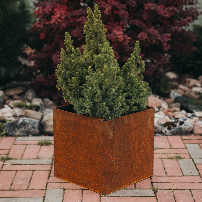 Fiora Planter Box, 43cm H x 43cm W x 43cm D