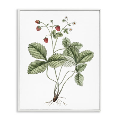 Étude de fraises en herbe par lettrage et doublure