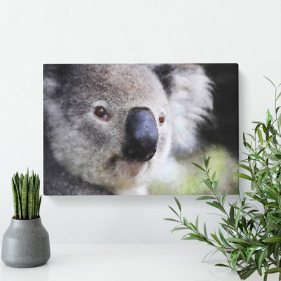 Koala Bear Vol.2 - Wrapped Canvas