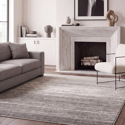 Bethlyn Gray/Light Gray Area Rug