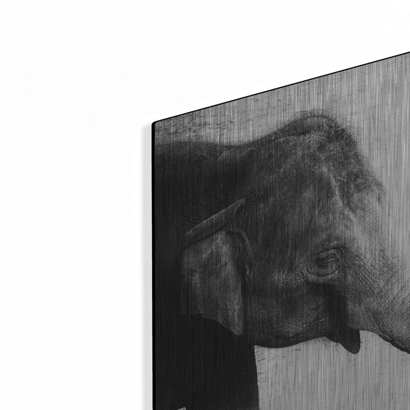 «Elephant II» par Debra Van Swearing «Elephant II» par Debra Van Swearingen, H 24 po x l 24 po