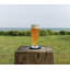 Ascutney Pilsner