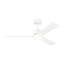 Rozzen Downrod Ceiling Fan-111282299-87900163-75885278