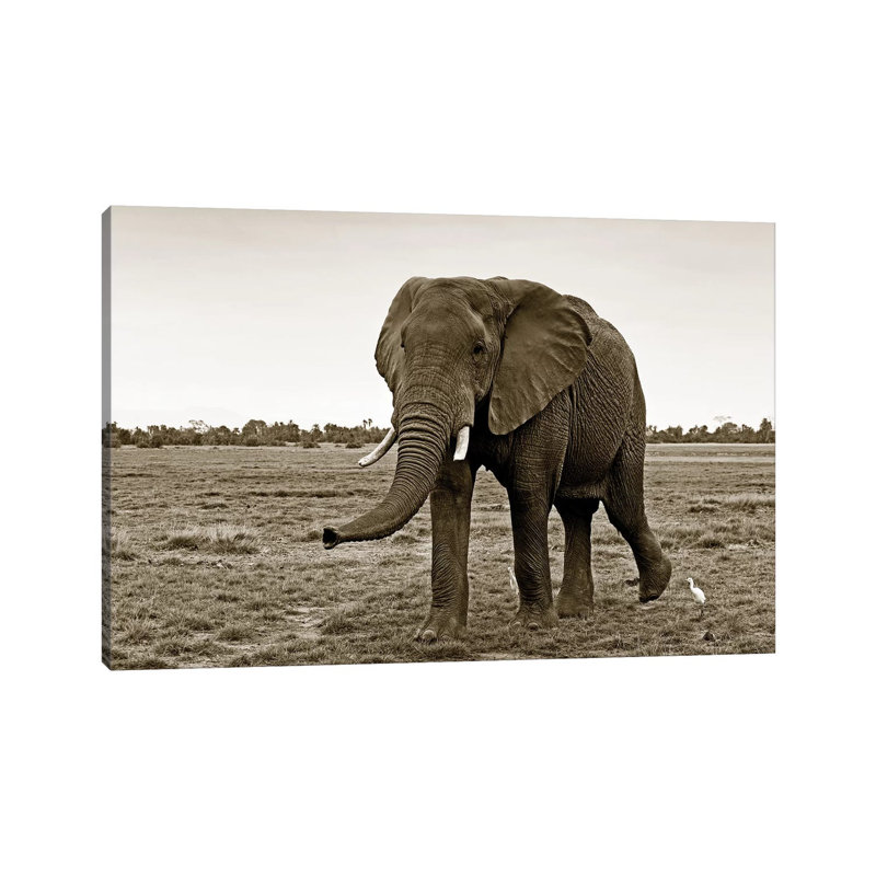 Curious Elephant 1 Piece Wrapped Canvas Wall Art, 101.6 cm H x 66.04 cm W x 3.175 cm D