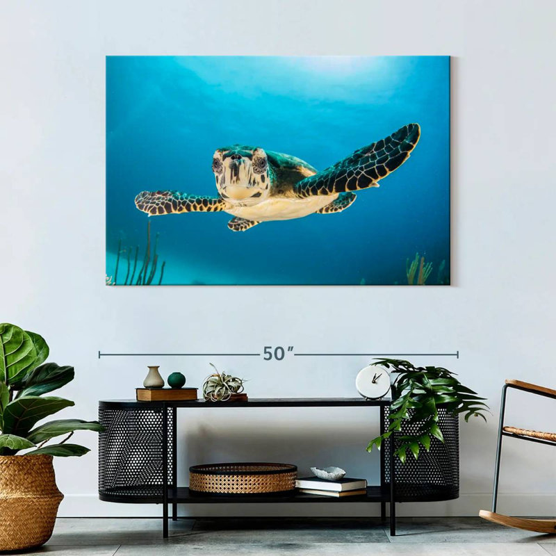 Brampt Underwater Baby Turtle, 32" H x 48" W