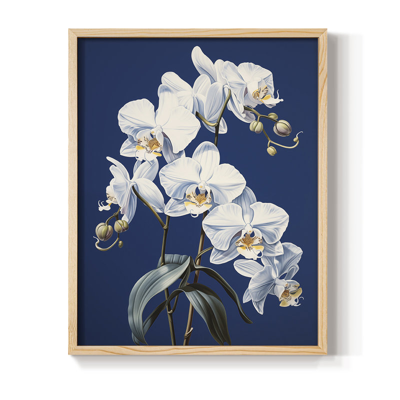«FLORAL Series CLxxxi», reproduction encadrée - bois massif, H 21 po x l 17 po