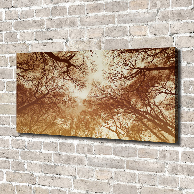 Forest - Wrapped Canvas Print, 70cm H x 140cm W x 2cm D, Canvas
