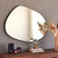 Dorothea Novelty Wood Framed Wall Mounted Accent Mirror in Black-803387960-795137867