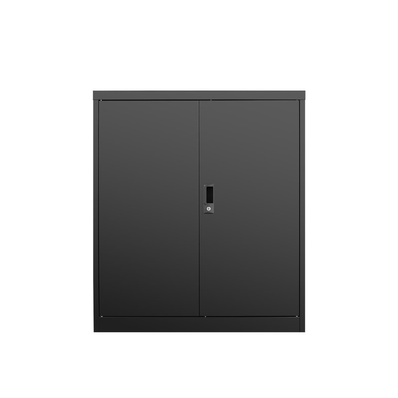 Casier de rangement, classeur, armoire de rangement avec porte et deux tablettes réglables