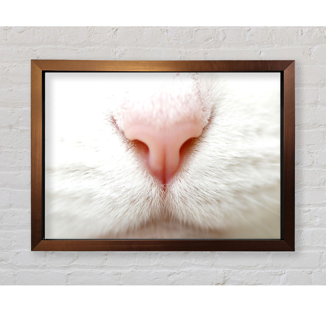 Gerahmtes Bild Cat Nose 2