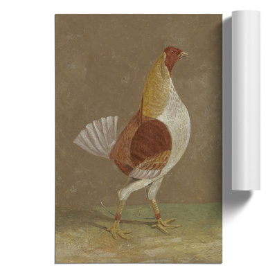 Fighting Cock Vol.2 by John Frederick Herring - No Frame Painting