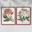 Impression florale rose de qualité supérieure - prête à accrocher - aucun clou requis - aucun clou requis-1933892760-1933892740
