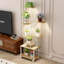 Support pour plante d'intérieur haut de 62 pouces avec lumières de culture à spectre complet, support décoratif en forme de S à 8 niveaux pour le salon