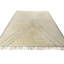 Tribal Hand Woven Wool Area Rug