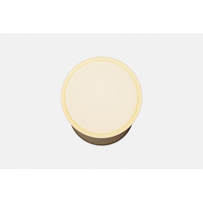Marea Wall Sconce