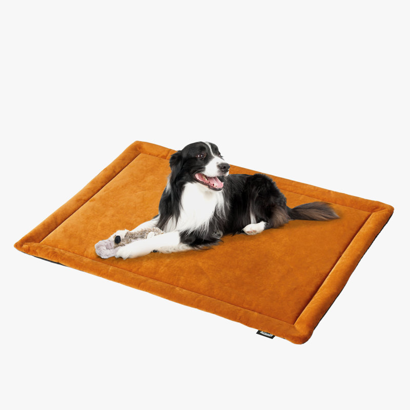 Tapis de lit pour chien Mckoy, H 1,5 po x l 32 po x P 24 po, Orange