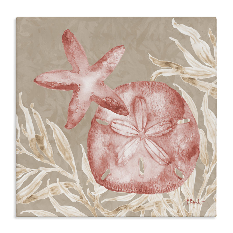 Étoile de mer et toile de sable Tampico, design par Paul Brent, H 17 po x l 17 po