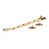 Polished Bronze