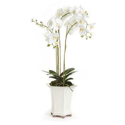 Barclay Butera Orchid In Ceramic Pot