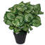 40cm Faux Plant in Pot Liner