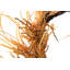 Flowers Crown 56x10x56 Cm