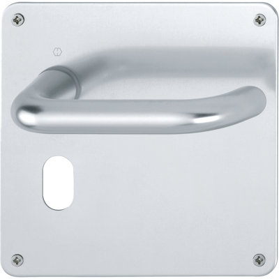 Amanraj Right Door Handle