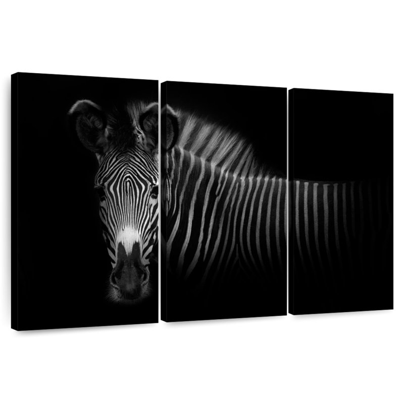 Zebra In The Dark, 20" H x 33" W